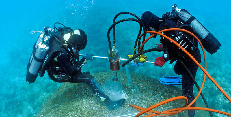 Taking the core from a coral in the South Pacific. (John Butscher, IRD-Centre de Noumea, New Caledonia)
