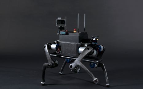 Anymal ist ein Laufroboter, der Hindernisse schnell überwinden kann. (ETH Zürich/ Robotic Systems Lab)