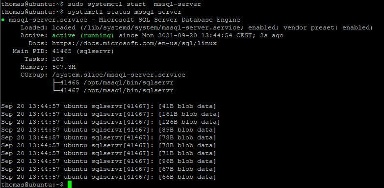 Systemdienste von Microsoft SQL Server im Terminal von Linux steuern. (Joos/Microsoft (Screenshot))