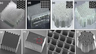 The researchers demonstrated multiple different lattice patterns for their microtubule arrays. (Source: Menon Lab/ University of Utah)