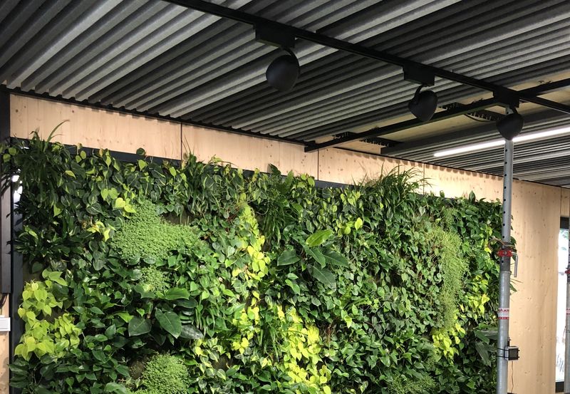 (Quelle:  Brüninghoff)