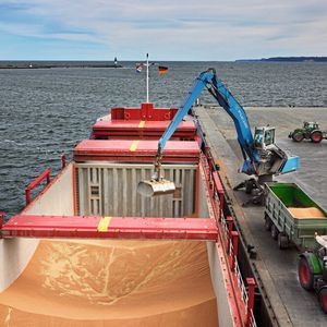 An Hafenstandorten hat die Baywa verstärkt Agrarkompetenzzentren für den Umschlag von Getreide, Futter- und Betriebsmitteln aufgebaut.(Bild:  Enno Kapitza/Baywa AG)