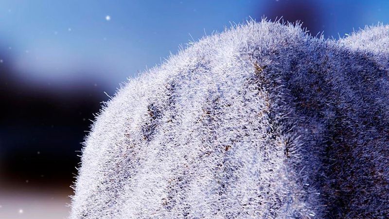 Bei Inneo ist ab sofort die neue Version Key-Shot 9 erhältlich und steht zum Download bereit. Ein Highlight ist GPU-beschleunigtes Echtzeit-Raytracing mit einem Klick KI-gestütztem Entrauschen. (Inneo)