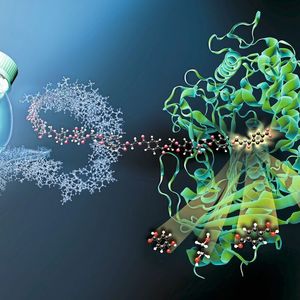 Das Enzym MHETase ist ein riesiges komplex gefaltetes Molekül. MHET-Moleküle aus PET-Kunststoff docken an einer aktiven Stelle im Inneren der MHETase an und werden dort aufgespalten. 