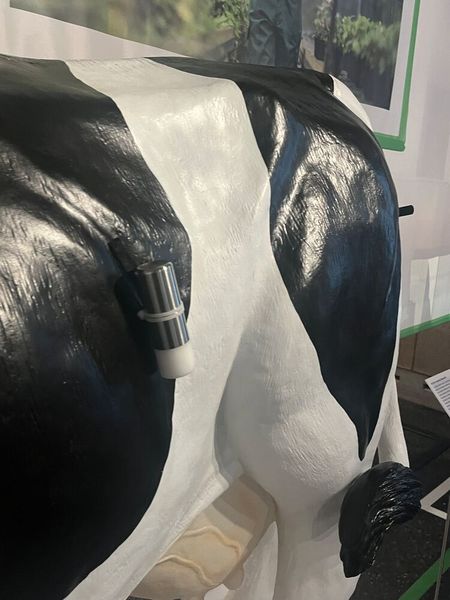 ... Pansensensor oder ... (© cm)