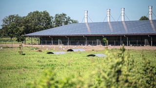 Big Dutchman equips solar systems for agricultural enterprises with Helukabel connection technology. (Image:Big Dutchman)
