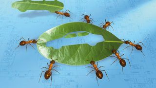  (Archiv: Vogel Business Media)