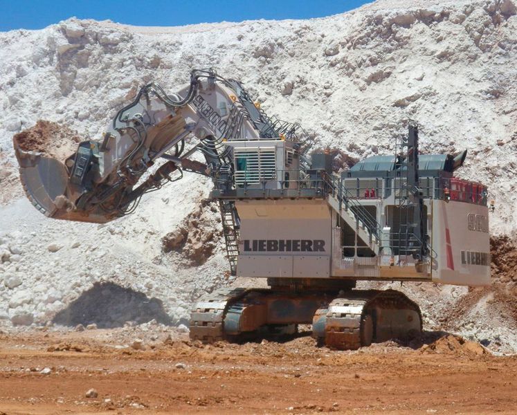 Auf Platz 6 folgt mit 810 t der Liebherr R 9800. Seine Schaufel fasst ganze 45 Kubikmeter und damit knapp mehr als seine japanische Konkurrenz von Komatsu und Hitachi. Das entspricht dem Inhalt von 400 herkömmlichen Badewannen.
 (Liebherr)