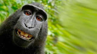 Zahlreiche Gadgets helfen, um das perfekten Selfie zu schießen – wie die fliegende Selfie-Kamera AirSelfie. (Bild: Pixabay)