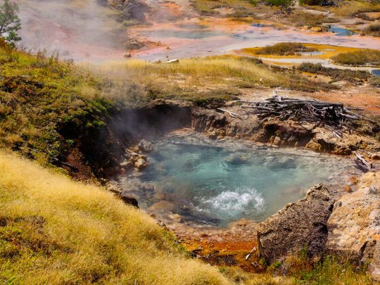 Montana State University scientists have found evidence that tiny organisms living in Yellowstone National Park's hydrothermal area produce methane.(Source:  Roland Hatzenpichler)