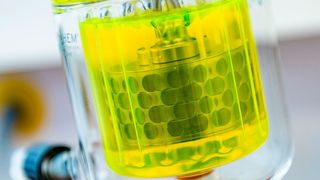 Der Enzymreaktor aus nächster Nähe: In der Flüssigkeit versehen die Enzyme ihre Arbeit. (Damian Gorczany)