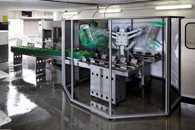 Die Anlage wäscht und schleudert 450 Kisten Salat pro Stunde. (Bild: Siemens)