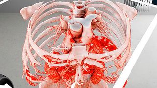 Virtual Reality: Mit Specto-Vive können Ärzte in einem dreidimensionalen Raum mit dem Körperteil interagieren, der operiert werden soll. (Bild: Universität Basel)