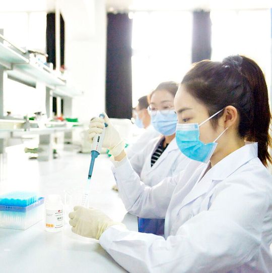 Besonders hohen PFAS-Gehalt stellte die LUA bei den Wildschweinproben fest. (Symbolbild)(Bild:  frei lizenziert /  Pixabay)