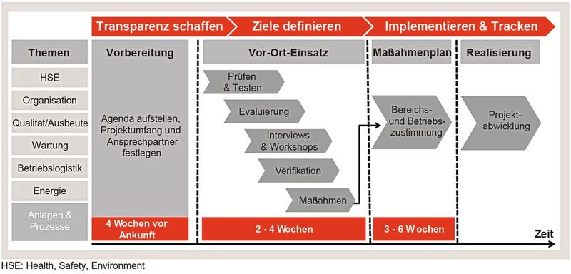 Zielsetzung und Durchführung von Manufacturing-Excellence („MEx“)-­Projekten bei Lanxess 