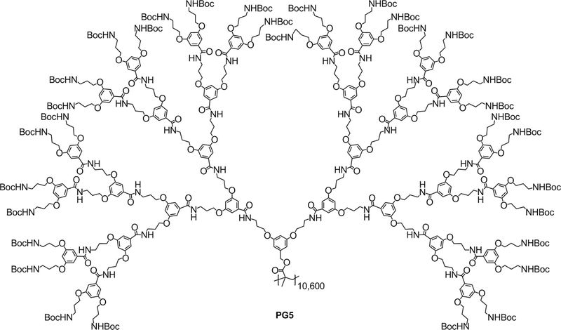 PG5 – Das Spaghetti-Polymer Atome: 17.000.000* Größe: 25.000 Å* Gewicht: 200.000.000 Da* Summenformel: C567H822N62O158 (pro Wiederholungseinheit)*ungefähre Angaben für 10.600 Wiederholungseinheiten Das Polymer PG5 ist nicht einfach nur sehr lang, sondern mit sieben Nanometern Durchmesser auch besonders dick. Zudem haben die Forscher ein hohes Maß an Strukturkontrolle bei der Polymerisationsreaktion erzielt. PG5 könnte somit das größte Molekül mit definierter chemischer Struktur und definierter Form sein. Auch ein PG8 haben die Forscher bereits realisiert – mit rund fünfmal so vielen Atomen pro Wiederholungseinheit und einem Durchmesser von elf Nanometern. Hier geht es zurück zum Artikel Chemie XXL: Moleküle in Übergröße. Quellen: Riesenmolekül synthetisiert, Meldung der ETH Zürich vom 14.01.11   The largest synthetic molecule, ETH Zürich, abgerufen am 17.04.2020  Hao Yu, A. Dieter Schlüter, Baozhong Zhang: Synthesis of High Generation Dendronized Polymers and Quantification of Their Structure Perfection Macromolecules 2014, 47, 13, 4127-4135, Publication Date: June 19, 2014; DOI: 10.1021/ma500821n (Angewandte Chemie, DOI: 10.1002/anie.201005164)