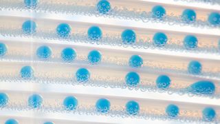 Am Fließband: In jedem der Tröpfchen des „Tubular Flow Reactor“ entsteht eine andere chemische Mixtur – unter exakt gleichen Rahmenbedingungen. (Bild: Empa)