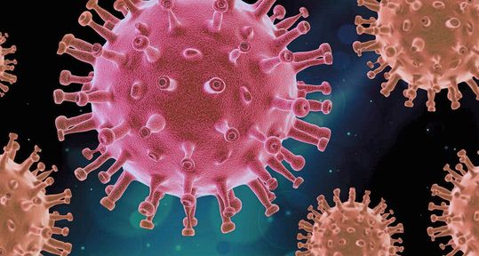 Wirksame Medikamente zur Behandlung von Covid-19 sind knapp. Wissenschaftler der JMU haben jetzt einen weiteren Wirkstoff identifiziert, der zumindest im Labor Coronaviren wirksam bekämpft hat. Wirksame Medikamente zur Behandlung von Covid-19 sind knapp. Wissenschaftler der JMU haben jetzt einen weiteren Wirkstoff identifiziert, der zumindest im Labor Coronaviren wirksam bekämpft hat.