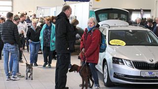 Zur ersten Hamburger Hundemesse bei Auto Wichert in Hamburg strömten gut 6.000 Besucher. (Bild: Agentur atw)
