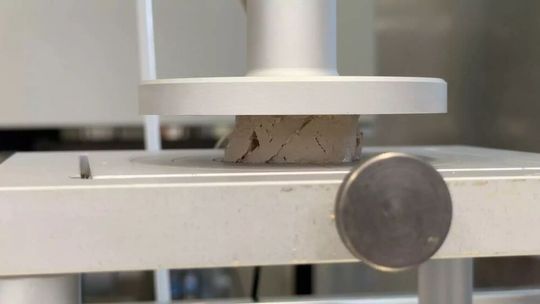 Mit Hilfe der Rheologie können die mechanischen Eigenschaften von echter Foie Gras und der von Vilgis und Team hergestellten gemessen und verglichen werden.(Bild:  © Max-Planck-Institut für Polymerforschung)