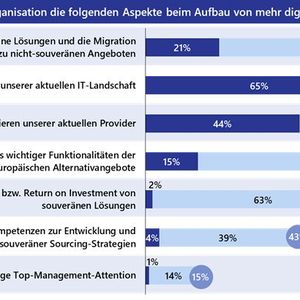 Die Ansprüch sind hoch, die Realität aber komplex: Digitale Souveränität bedeutet aufgrund gewachsener IT-Landschaften ein große herausforderung für Unternehmen. Zudem sind die Budgets knapp und europäische Alternativen nicht adäquat leistungsfähig.(Bild:  Lünendonk)