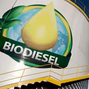 Biodiesel could become a major factor for Army and Navy to cut energy costs.