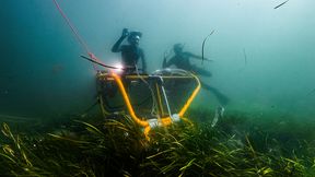 Seegraswiesen zählen zu den produktivsten Lebensräumen des Meeres. Sie filtern Nährstoffe, Krankheitserreger und Sedimente aus dem Wasser und speichern Kohlenstoff. Doch sie schrumpfen. (Bild: Tandem Ventures)