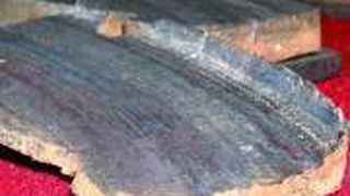 Die billigen Bremsklötze haben sich während des Tests in ihre Bestandteile aufgelöst.  (Foto: Lauer)