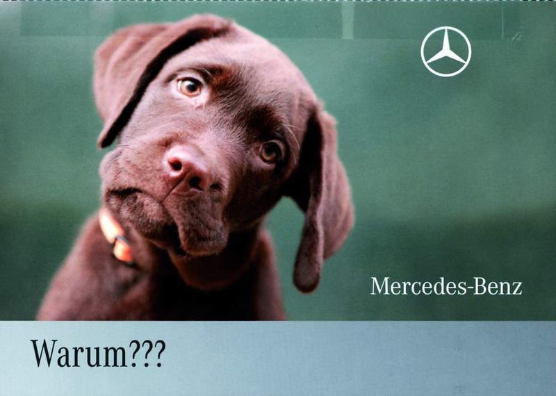 Der Hundeblick wirkt: Das Anschreiben an ehemalige Kunden setzt auf Emotionen. (Archiv: Vogel Business Media)