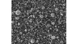 Researchers at the University of Washington created a recyclable composite material made of tiny droplets of liquid metal infused into a stretchy polymer. The droplets, pictured in this microscope image, can be connected easily together to form an electrical circuit. (Source: Y. Han/ Advanced Functional Materials)