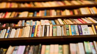 Ein KI-Algorithmus kann nur so gut und genau sein wie die Daten, die für sein Training verwendet werden. (Bild: gemeinfrei)