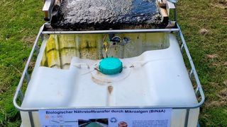 Die Versuchsanlage zur Algenproduktion ist neben der Kläranlage Lichtenau aufgebaut. (Bild: Universität Bielefeld)