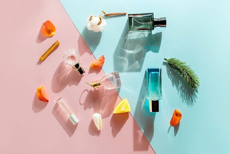 (Quelle:  Pavlovska Yevheniia/shutterstock)