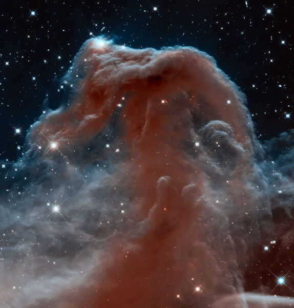 Der berühmte Pferdekopfnebel: Mit dieser Aufnahme feiert die NASA das 23. Jubiläum des Hubble Space Telescope (NASA/STScl)