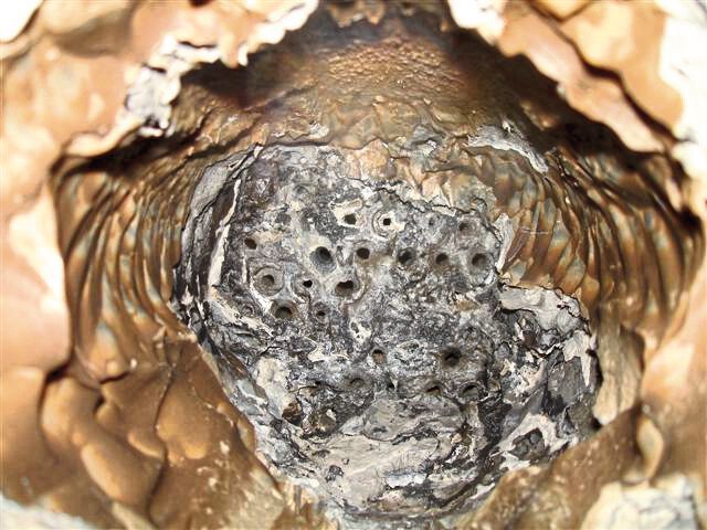 Die bohrende, wassergekühlte Reinigungstechnik aus Österreich verbraucht nur 9 l/min. Wasser, wobei aufgrund der niederen Drücke (Wasseraustritt beim Bohrkopf) von 2 bar keine  Verletzungsgefahr besteht. Mit den biobasierten Reinigungsmitteln aus Schweden wird das Verafhren noch umweltschonender. (A.C. Rädler)
