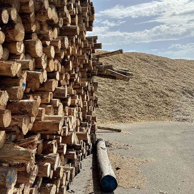 In einer gemeinsamen Stellungnahme kritisiert das Verbändebündnis den pauschalen Ausschluss zentraler Holzsortimente im Rahmen der Novelle der Biomasseverordnung. (Bild: Deutsche Säge- und Holzindustrie Bundesverband)
