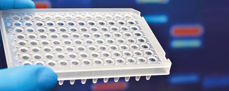 Abb.1: Welchen Einfluss hat die Kunststoffoberfläche auf das Analysenergebnis? Dies wurde mit verschiedenen Polypropylen-Wells verglichen.(Bild:  © sergunt - stock.adobe.com)