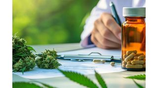 Bei Cannabisverschreibungen sieht der Gesetzgeber einen verpflichtenden Praxisbesuch einmal im Jahr sowie ein Versandverbot für medizinisches Cannabis und eine Beschränkung der Telemedizin auf die physisch behandelnden Ärzte vor. (Bild: © Brian – stock.adobe.com)