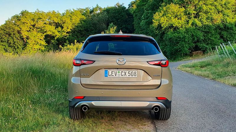 Das Sondermodell Newground besitzt einen silbern lackierten (Fake-)Unterfahrschutz sowie ... (Bild: Mauritz – »kfz-betrieb«)