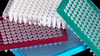 Azenta Life Sciences offers a range of low binding consumables that deliver consistent performance from sensitive applications that require low DNA input such as Next Generation Sequencing and Molecular Biology. (Source: Azenta)