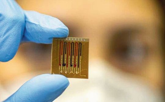 Ein neuartiger Mikrofluidik-Multiplex-Biosensor trägt auf einem Polymerfilm befestigte Proteine, die Antibiotika erkennen. Ein neuartiger Mikrofluidik-Multiplex-Biosensor trägt auf einem Polymerfilm befestigte Proteine, die Antibiotika erkennen.