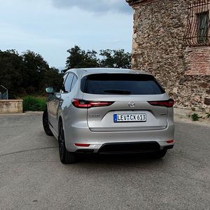 Das Heck vermittelt die typische Robustheit eines großen SUVs.(Bild:  Mauritz – »kfz-betrieb«)