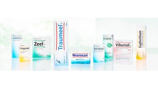 Arzneimittelhersteller Heel vertraut für den weltweiten Versand seiner Dokumente auf EVA (Export Versand Abwicklungssystem) des Göttinger Versandspezialisten Anton Software. (Heel)