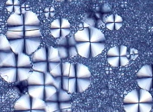 Die mikroskopische Struktur teilkristalliner Kunststoffe ist geprägt von amorphen Bereichen, die keine Ordnung haben und kristallinen Arealen (die kreisförmigen hier). Forscher haben nun mehr Wissen darüber, wovon der Aufbau und damit die Eigenschaften solcher Polymere abhängen.(Bild:  P. Sorgner)