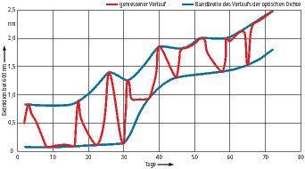 Sofern die nötigen Nährstoffe vorhanden sind, vermehrt sich die Biomasse (Mikroorganismen) stetig (braun). Maß dafür ist die Extinktion (optische Dichte), die nach jeder Ölzugabe rapide steigt und nach kurzer Zeit wieder sinkt (blau). (Bild: IBV)