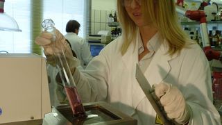 Silikonöle von Fragol bewähren sich als Badflüssigkeiten in Laboranwendungen. (Bild: Fragol)