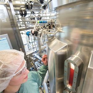 Die Nährlösung, in der die Zellen vermehrt werden, schimmert rötlich.