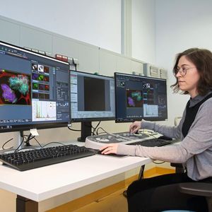 Dr. Sheri Singerling bei der Analyse der TEM-Bilder des Materials von Bennu(Bild:  Uwe Dettmar für Goethe-Universität)