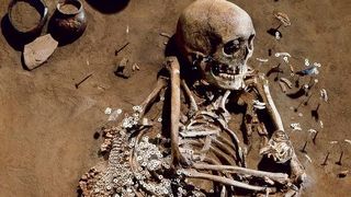 Grab eines erwachsenen Mannes aus der Salzmünder Kultur (Saalekreis, Sachsen-Anhalt) ca. 5400-5100 v. Chr. Seine genetischen Daten sind in die Studie mit eingeflossen. (Bild: Juraj Lipták, LDA Sachsen-Anhalt)