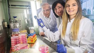 Sie setzen auf modifizierte Killerzellen gegen die Organabstoßung nach Transplantation: Professor Dr. Rainer Blasczyk, Professorin Dr. Britta Eiz-Vesper (Mitte) und Dr. Anna Dragon. (Bild: Karin Kaiser/MHH)